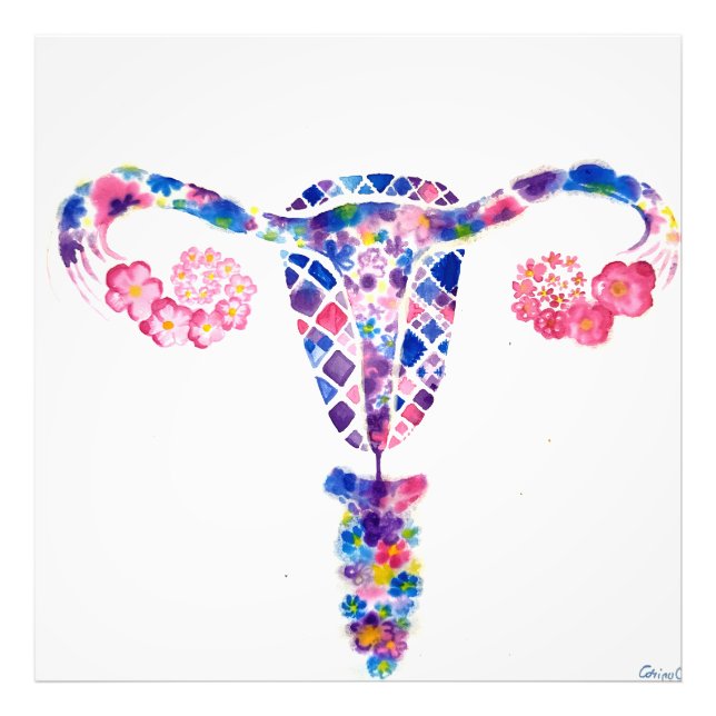 Uterus Fotodruck (Vorne)