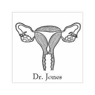 Uterus, menschliche Organe, selbstfärbende Briefma Permastempel