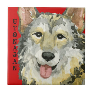 Utonagan-Farbblock Fliese