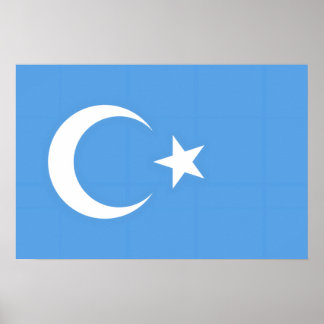 Uyghur/ Ostturkestan Poster