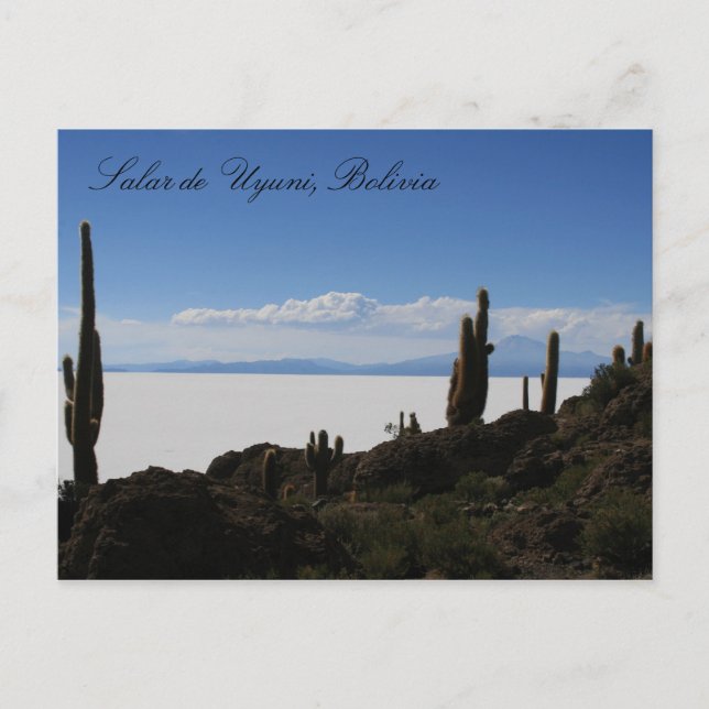 Uyuni cacti postkarte (Vorderseite)