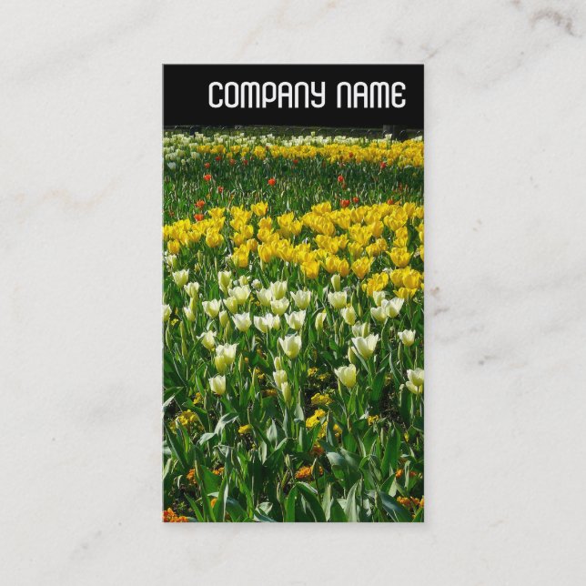 V Kopfzeile - Frühlingsblumen Visitenkarte (Vorderseite)