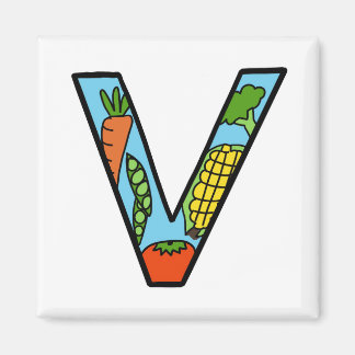 "V" Magnet