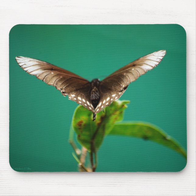 V Mousepad (Vorne)