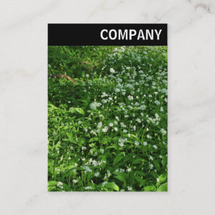 V. Rubrik: Blume aus Holz Visitenkarte