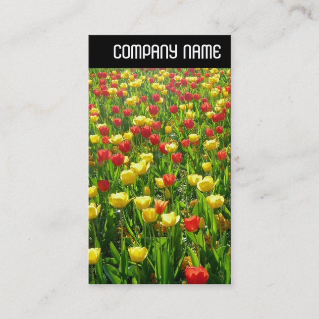 V Rubrik - Meer der Tulipen II Visitenkarte (Vorderseite)
