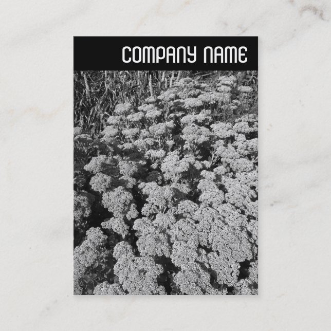 V. Rubrik - Zitat "Herbstfreuden" Visitenkarte (Vorderseite)