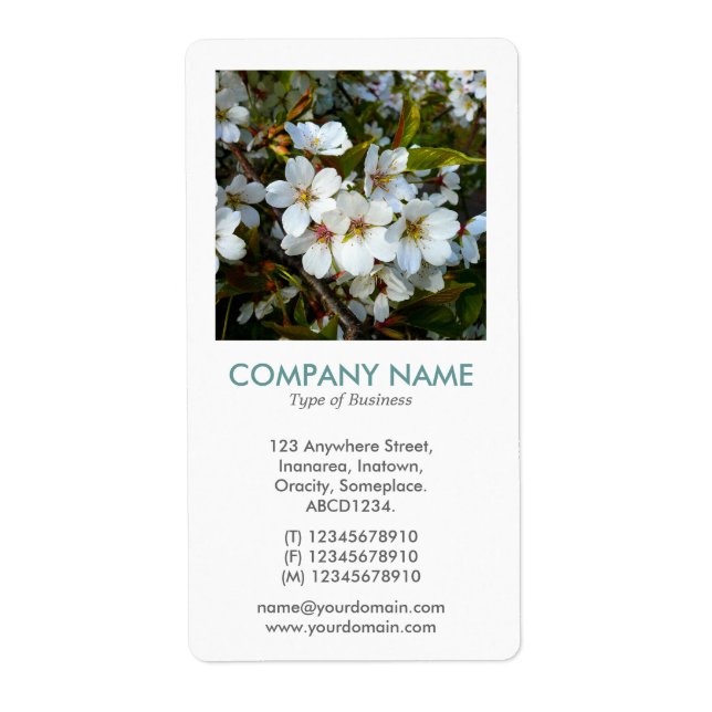 V Square Foto - Cherry Blossom (Vorne)