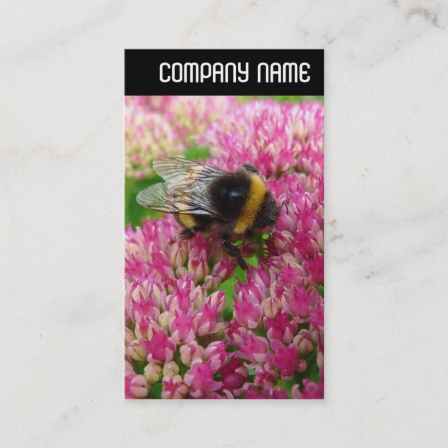 V Überschrift - Bienenstöpsel Visitenkarte (Vorderseite)