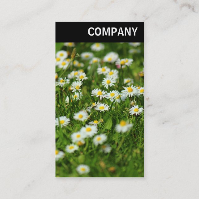 V. Überschrift: Daisy Meadow Visitenkarte (Vorderseite)