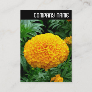 V Überschrift: Orange Chrysanthemum Visitenkarte