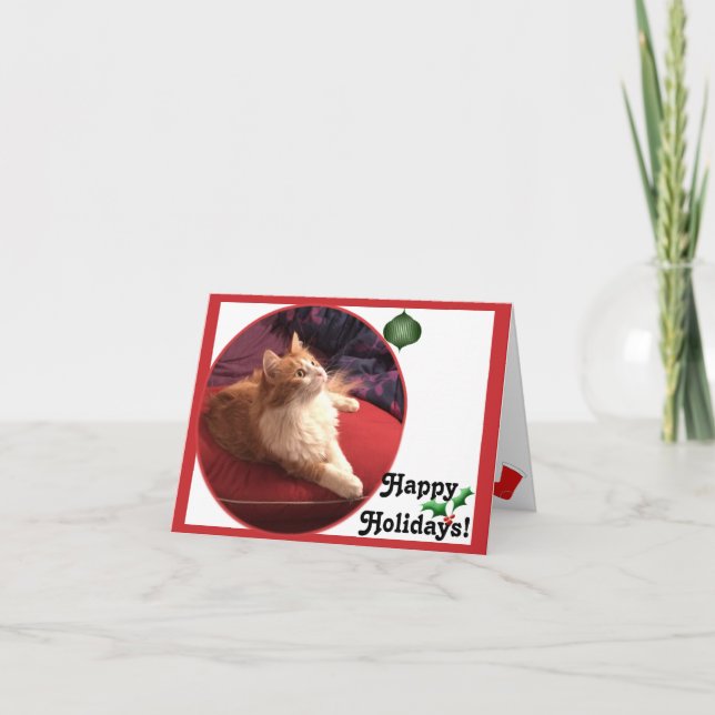 Vacances de chat de Kitty de perle ! Carte (Devant)