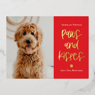 Vacances En Aluminium Paws Baisers Foil Carte postale de la Saint-Valent