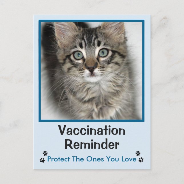 Vaccination vétérinaire Carte postale Kitten bleu (Devant)