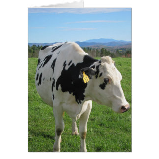 Vache à trois pattes 5x7