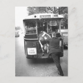 Vache dans le tramway postkarte