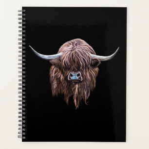 Vache écossaise des Highlands en couleur