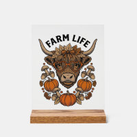 Vache Highland d'automne avec lunettes en forme de