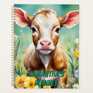 Vache Highland, Vache Baby Highland, Vache Country