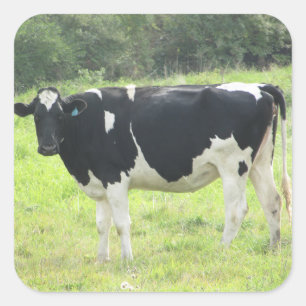 Vache laitière mignonne aux autocollants de ferme
