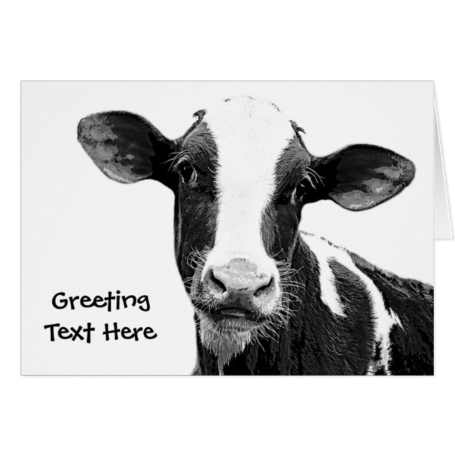 Vache laitière - veau noir et blanc de laiterie (Devant horizontal)