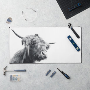 Vache majestueuse des Highlands noir et blanc