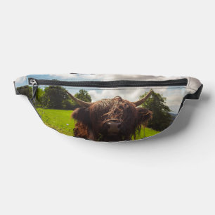 Vache noire pâturage vert champ soleil