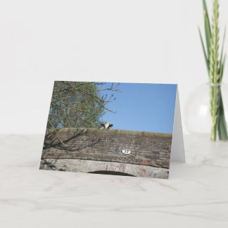 Vache regardant au-dessus du carte pour notes de