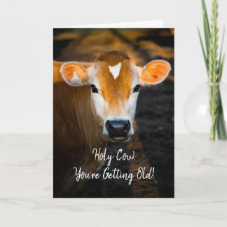 Vache Sacrée Tu Vieillis Carte d'Anniversaire – Dr