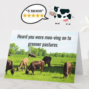 Vaches amusantes Bonne carte de retraite