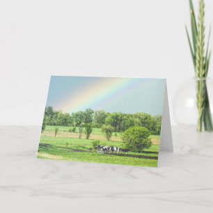 Vaches dans un pâturage + carte de voeux arc-en-ci
