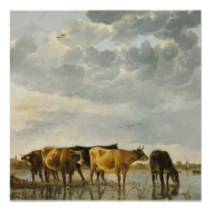 Vaches dans une rivière Aelbert Cuyp Poster