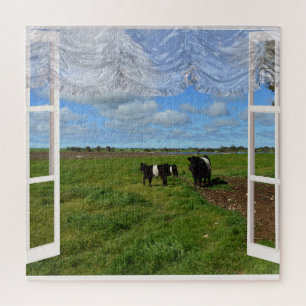 Vaches de galloway à travers une fenêtre, Puzzle d