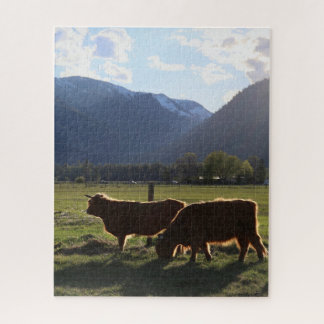 Vaches des Highlands dans le Montana Puzzle