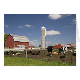 Vaches devant une grange rouge et un silo dans une