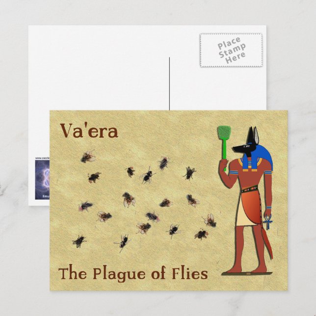 Va'era - die Seuche der Fliegen Postkarte (Vorne/Hinten)