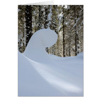 Vague de neige 2014