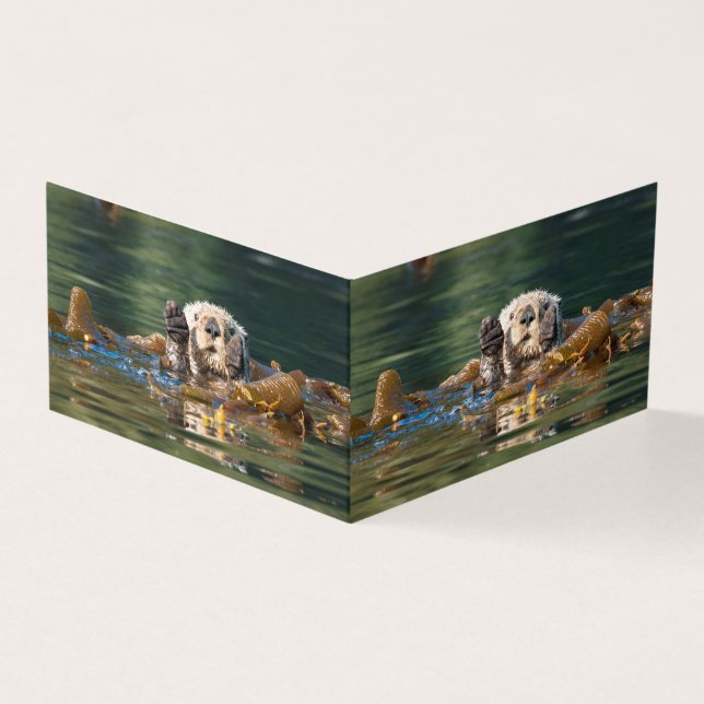 Vague Louter de mer (Outside)