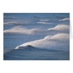 Vagues