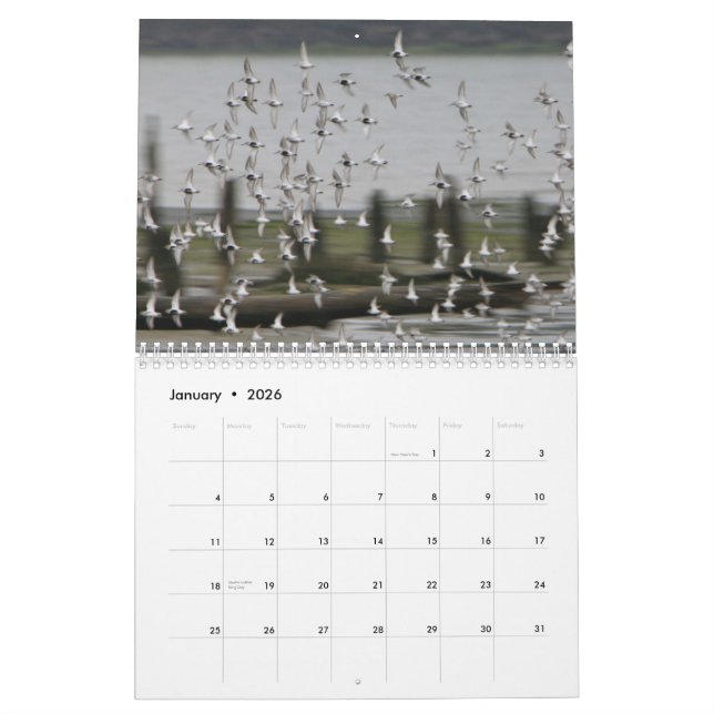 Vagues de Westport - 2013 calendriers surfants (Jan 2026)