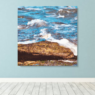 Vagues sur toile de rivage de côte rocheuse Océan