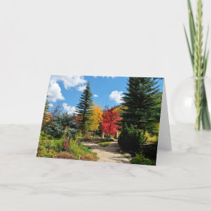 Vail Herbst Karte