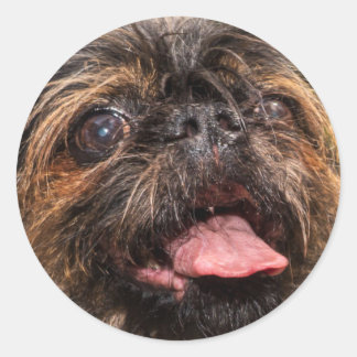 Valencia! Runder Aufkleber