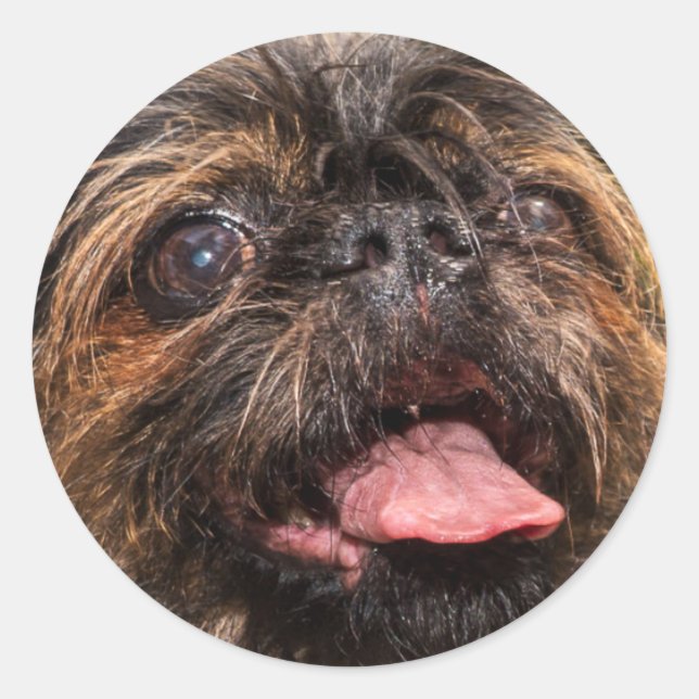 Valencia! Runder Aufkleber (Vorderseite)