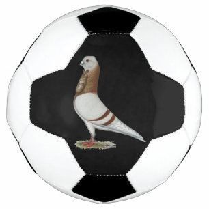 Valencian Figurita Pigeon Fußball