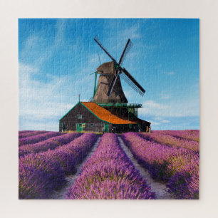 Valensole Lavender Fields Provence Frankreich
