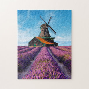 Valensole Lavender Fields Provence Frankreich
