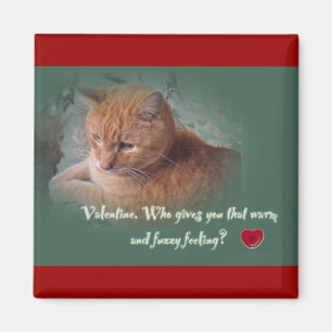 Valentine aus der Katze Magnet