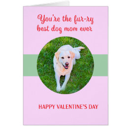 Valentine Best Dog Maman Aimer mignonne