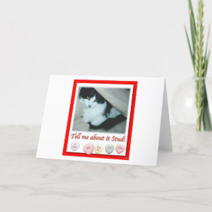 Valentine Black and White Cat Feiertagskarte